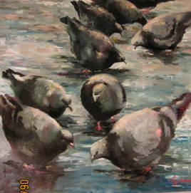 Les pigeons de la violoniste