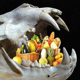 L&rsquo;&acirc;ge d&rsquo;or