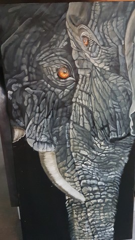 Elephants