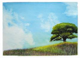 AQUARELLE - Aqua 001