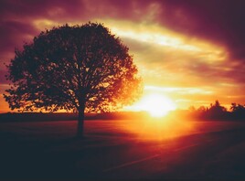 Lev&eacute; de soleil