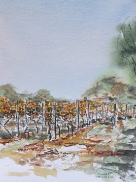 vignes &agrave; Breuillet