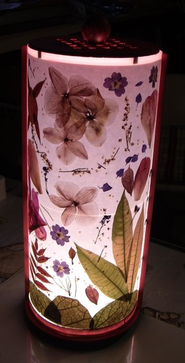 Dou&ccedil;eur v&eacute;g&eacute;tale luminoth&eacute;rapeutique