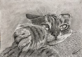 Le gardien du coussin
