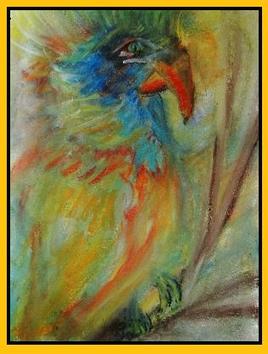 Perroquet ( Amérique du sud )