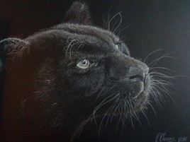 panth&egrave;re noire