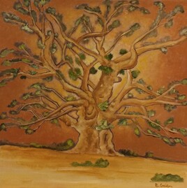Baobab senegal