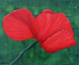 Coquelicot 2