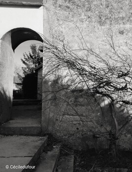 Entre ombre et silence