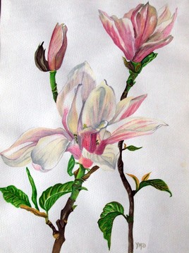 Les magnolias