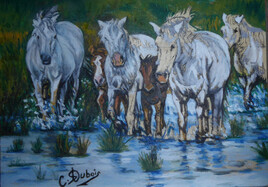 cavals de Camarga pintra de Claude Dubois ----Camargue horses painting by Claude Dubois