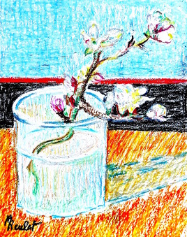 La branche d’amandier / Drawing : the branch of almond tree