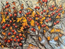 Eglantines en fleurs