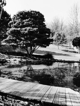 Jardin