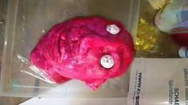 L'&eacute;corch&eacute;