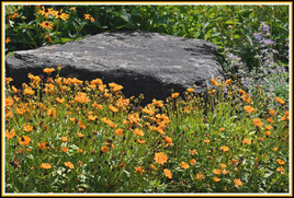 Sans titre 28) 2025 - 21 juillet 2025