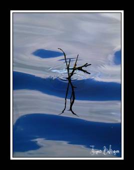 reflet bleu blanc