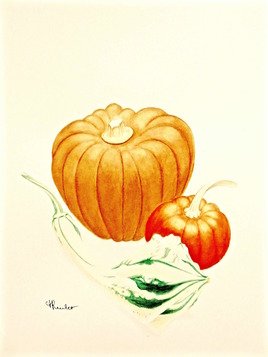 Courge longue, potimarron et potiron / Painting : Long squash, potimarron and pumpkin