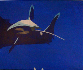 Requin gris (2013)