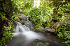 Bassin de Dol&eacute; Guadeloupe