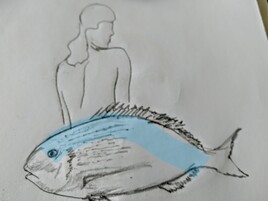 Dos     rade''poisson