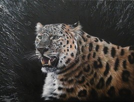 F&eacute;lin solitaire