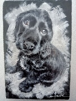 "Chiot Cocker"