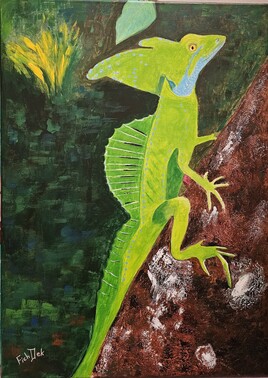 Un petit bijou du Costa Rica ; le BASILIC