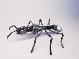 Ma petite préférée - la fourmis