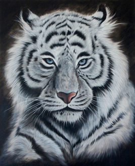 Face au tigre blanc