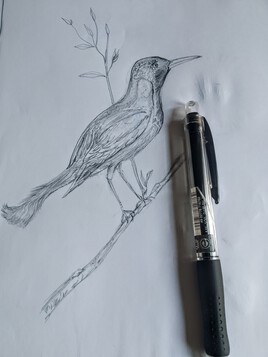 Oiseau