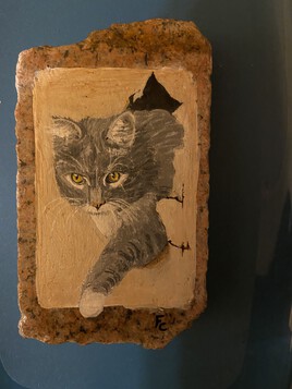 Le chat et le carton … une histoire de passion