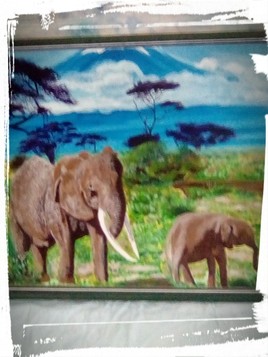 &Eacute;l&eacute;phants