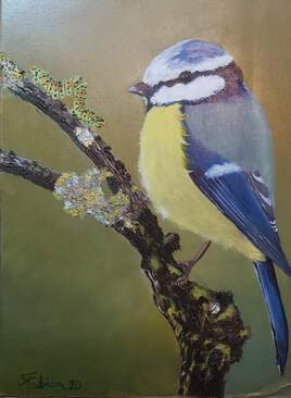 Petite M&eacute;sange Bleu