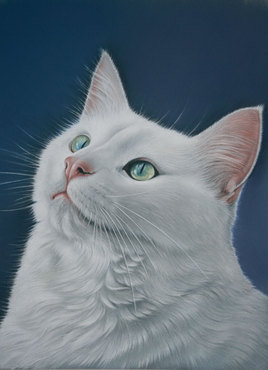 Le chat Blanc