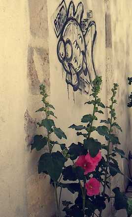 le monde est mon bocal