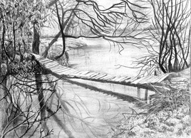 Le petit  pont de bois