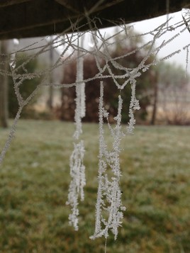 Le givre de l araign&eacute;e
