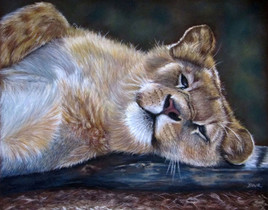 Une lionne d&eacute;tendue