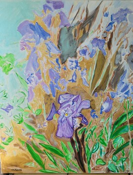 Les Iris Les Iris