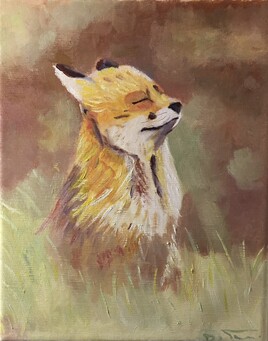 Fra&icirc;cheur matinale