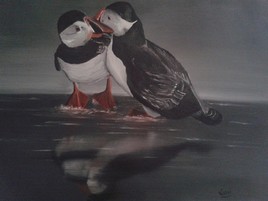 couple de macareux